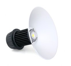   AcmePower LH100-CW 220V/100W