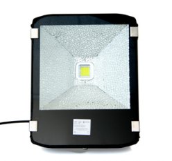      AcmePower LP100 220V/100W CW