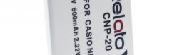     Relato CNP-20